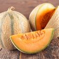 Cantaluponmeloni Cyrano F1 taimena