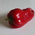 Maustepaprika Lamuyo F1