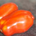 Luumutomaatti San Marzano