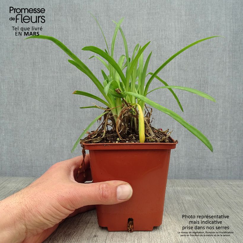 Example of Sinisarja Silver Baby Pot de 2L/3L as you get in printemps