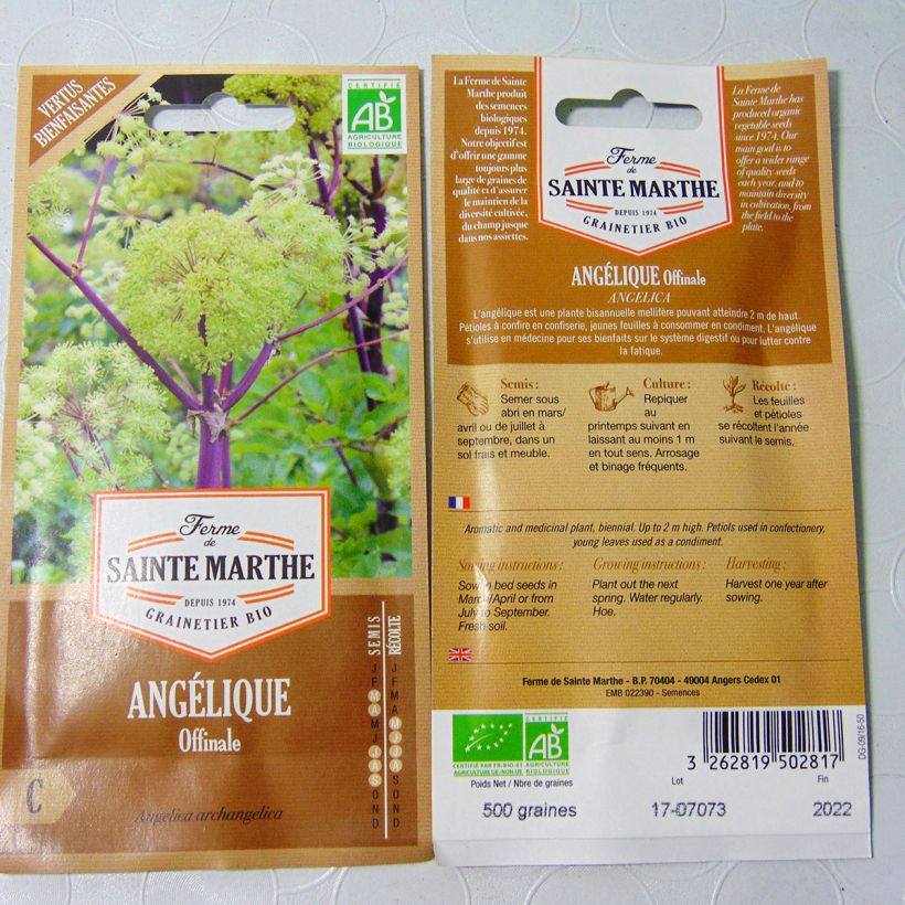 Esimerkki toimitetusta Väinönputki luomu - Ferme de Sainte Marthe - Angelica archangelica 400 siemenen pussi (2g)-taimesta