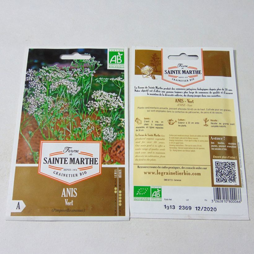Esimerkki toimitetusta Anisruoho luomu - Ferme de Sainte Marthe - Pimpinella anisum 500 siemenen pussi (1g)-taimesta