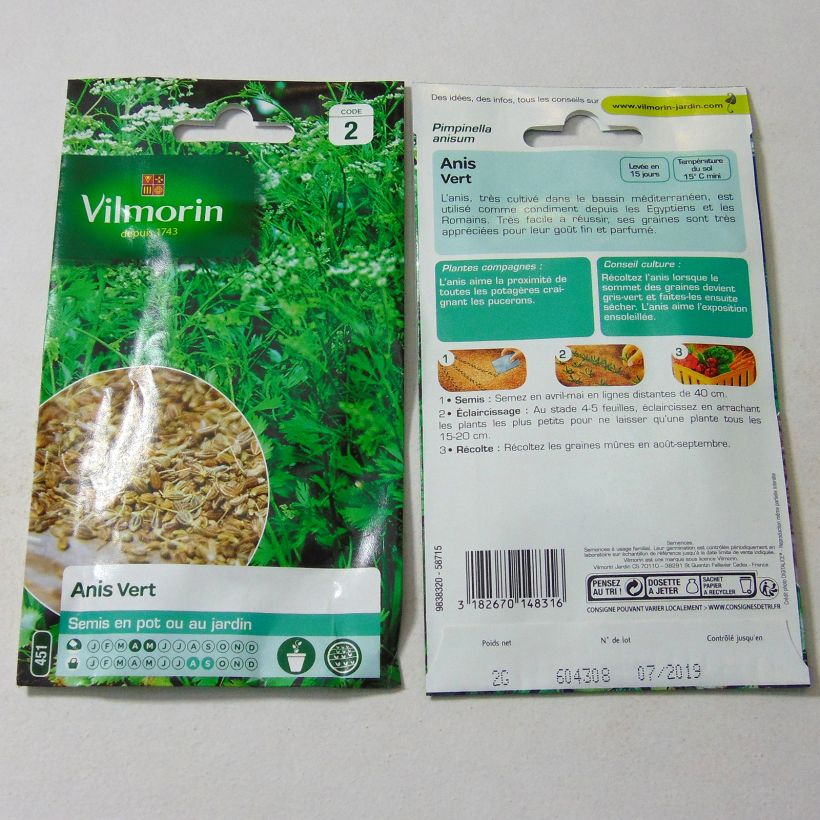 Esimerkki toimitetusta Anisruoho Vilmorin - Pimpinella anisum 2 gramman siemenpussi-taimesta