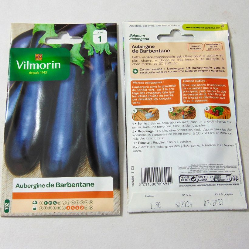 Esimerkki toimitetusta Munakoiso Barbentane - Vilmorin 200 siemenen pussi (1g)-taimesta