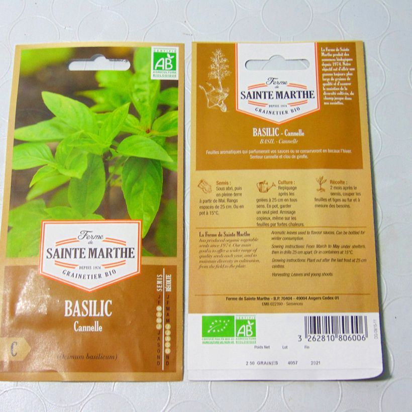 Esimerkki toimitetusta Maustebasilika Cinnamorum luomu - Ferme de Sainte Marthe 150 siemenen pussi (0.2g)-taimesta