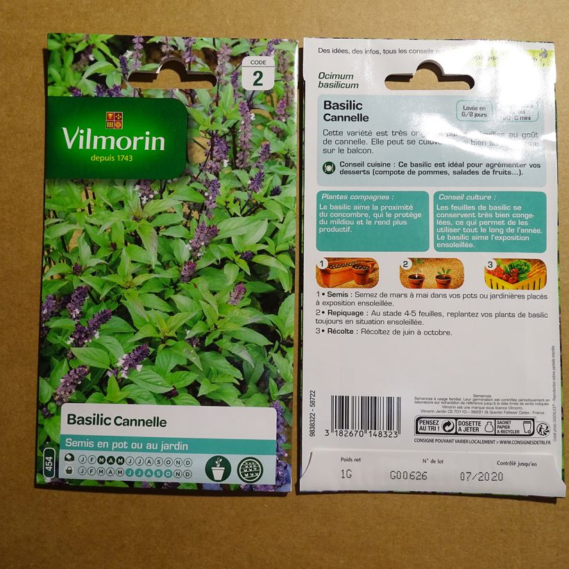 Esimerkki toimitetusta Maustebasilika Cinnamon - Vilmorin 800 siemenen pussi (1g)-taimesta