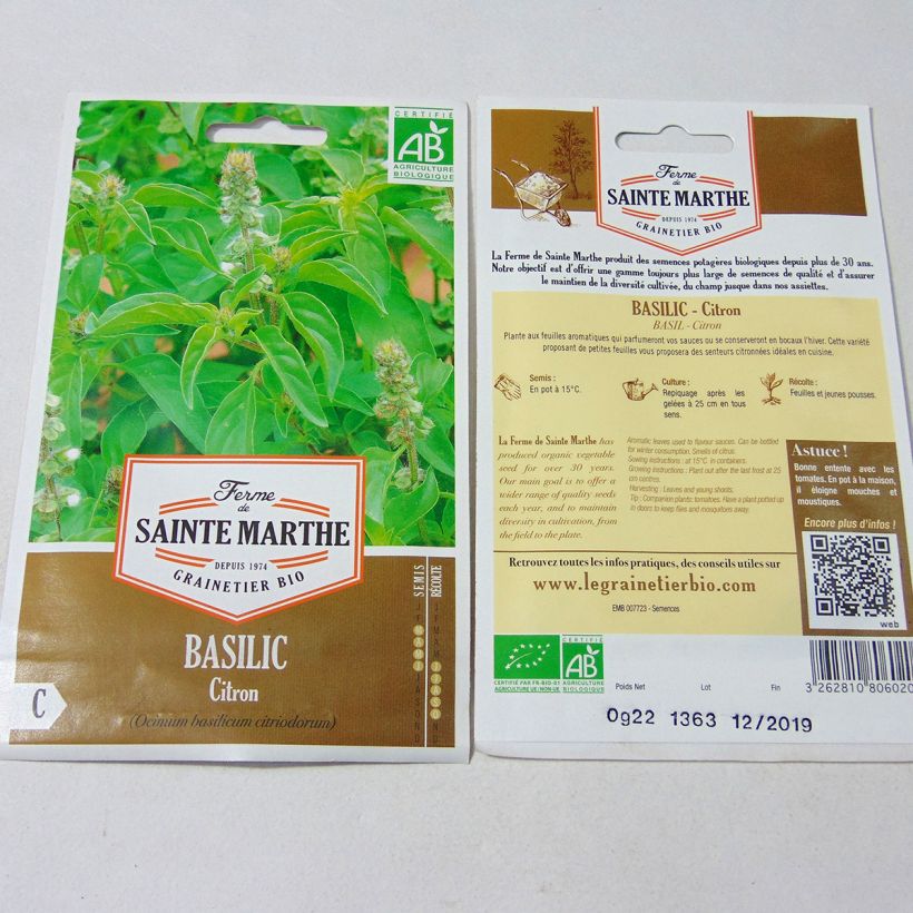 Esimerkki toimitetusta Sitruunabasilika Citriodorum luomu - Ferme de Sainte Marthe 150 siemenen pussi (0.22g)-taimesta