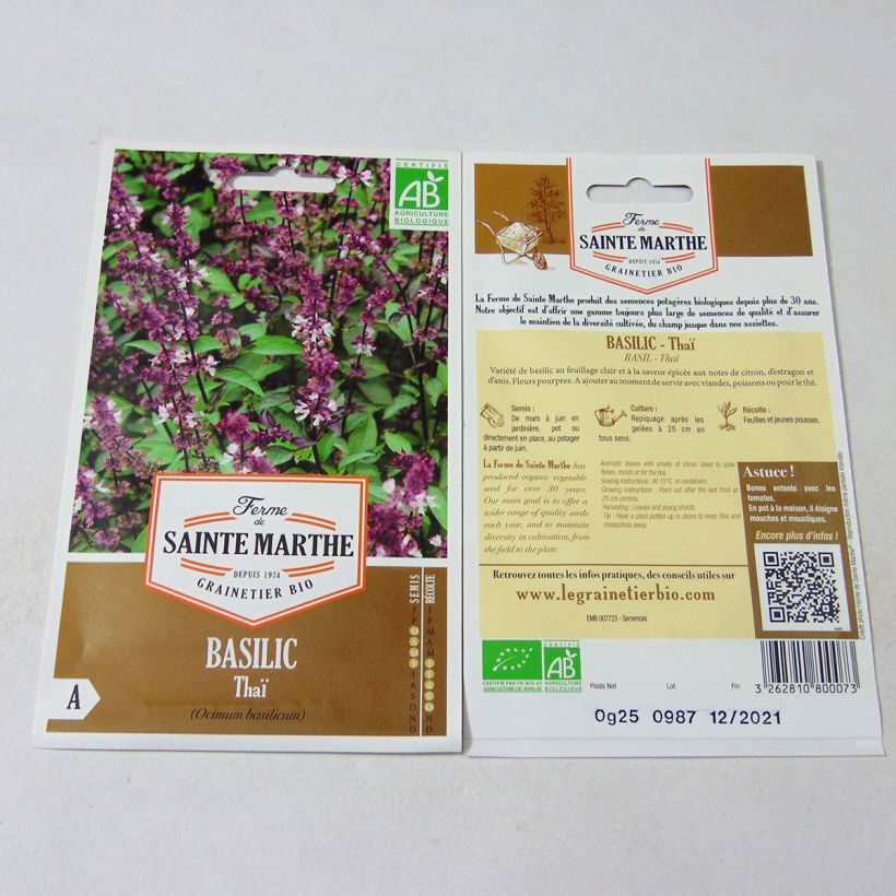 Esimerkki toimitetusta Thaibasilika Thaï luomu - Ferme de Sainte Marthe 150 siemenen pussi (0.25g)-taimesta