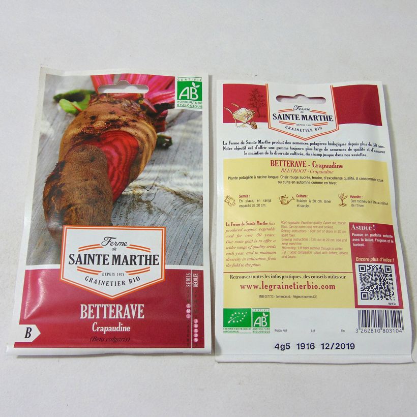 Esimerkki toimitetusta Punajuurikas Crapaudine luomu - Ferme de Sainte Marthe 250 siemenen pussi (4.5g)-taimesta