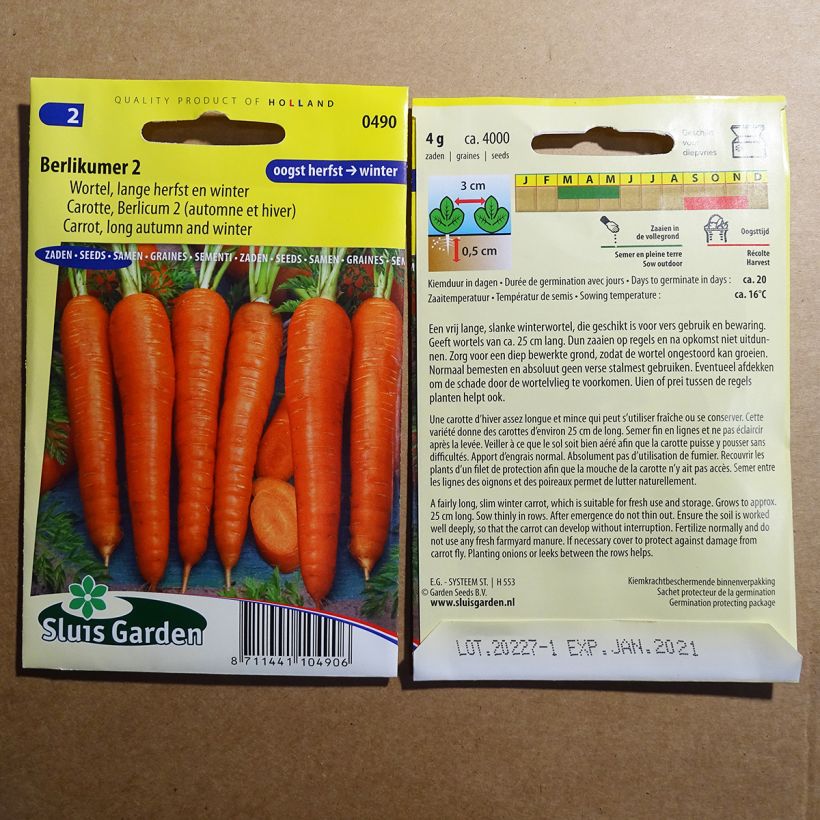 Esimerkki toimitetusta Porkkana Berlicum 2 3600 siemenen pussi (5g)-taimesta