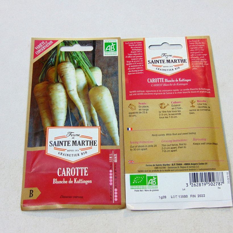 Esimerkki toimitetusta Valkoinen porkkana Blanche de Küttingen luomu - Ferme de Sainte Marthe 500 siemenen pussi (1.35g)-taimesta