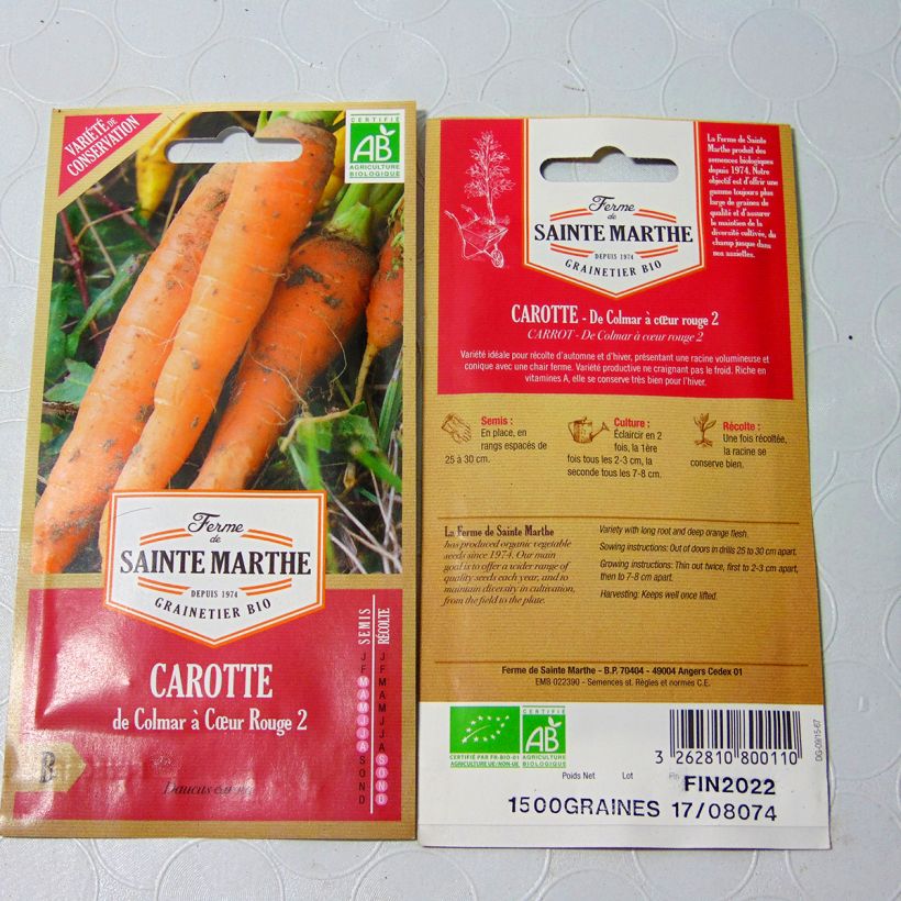 Esimerkki toimitetusta Porkkana Colmar Red Cored 2 luomu - Ferme de Sainte Marthe 1800 siemenen pussi (2g)-taimesta