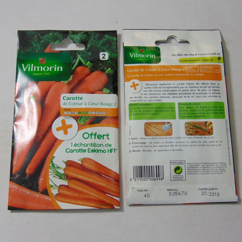 Esimerkki toimitetusta Porkkana Colmar Red Cored 2 - Vilmorin 2000 siemenen pussi (4g)-taimesta