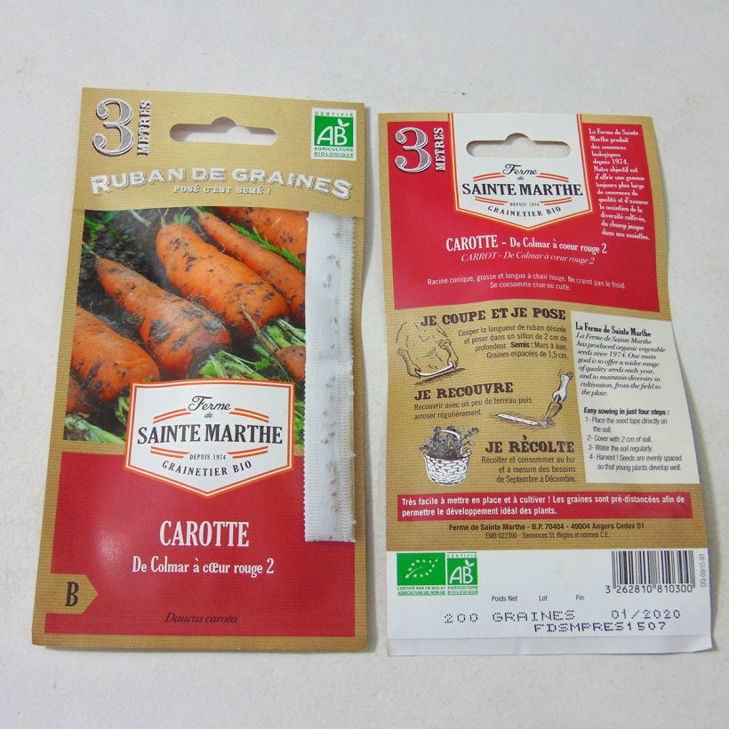 Esimerkki toimitetusta Porkkana Colmar Red Cored 2 luomu siemennauha - Ferme de Sainte Marthe Siemennauha-taimesta
