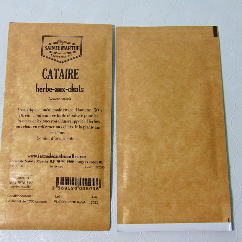 Esimerkki toimitetusta Aitokissanminttu - Ferme de Sainte Marthe - Nepeta cataria 1000 siemenen pussi-taimesta