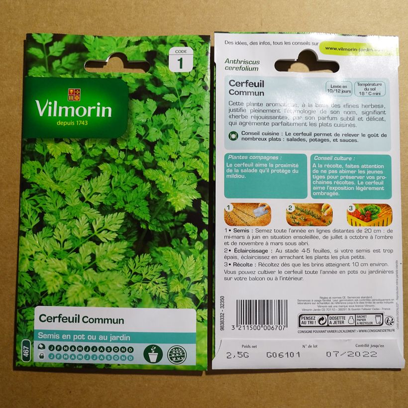 Esimerkki toimitetusta Maustekirveli Vilmorin - Anthriscus cerefolium 60 siemenen pussi (2g)-taimesta
