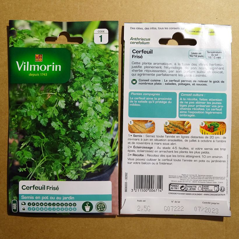 Esimerkki toimitetusta Kähärä maustekirveli Vilmorin - Anthriscus cerefolium 30 siemenen pussi (2g)-taimesta