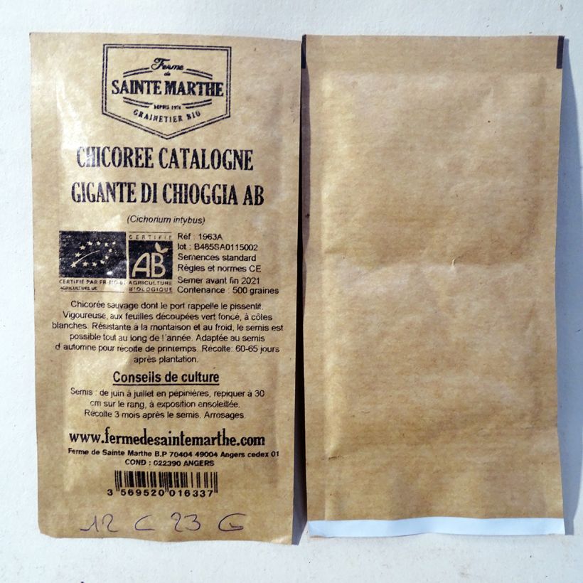 Esimerkki toimitetusta Sikuri Catalogne Gigante di Chioggia luomu - Ferme de Sainte Marthe 500 siemenen pussi-taimesta