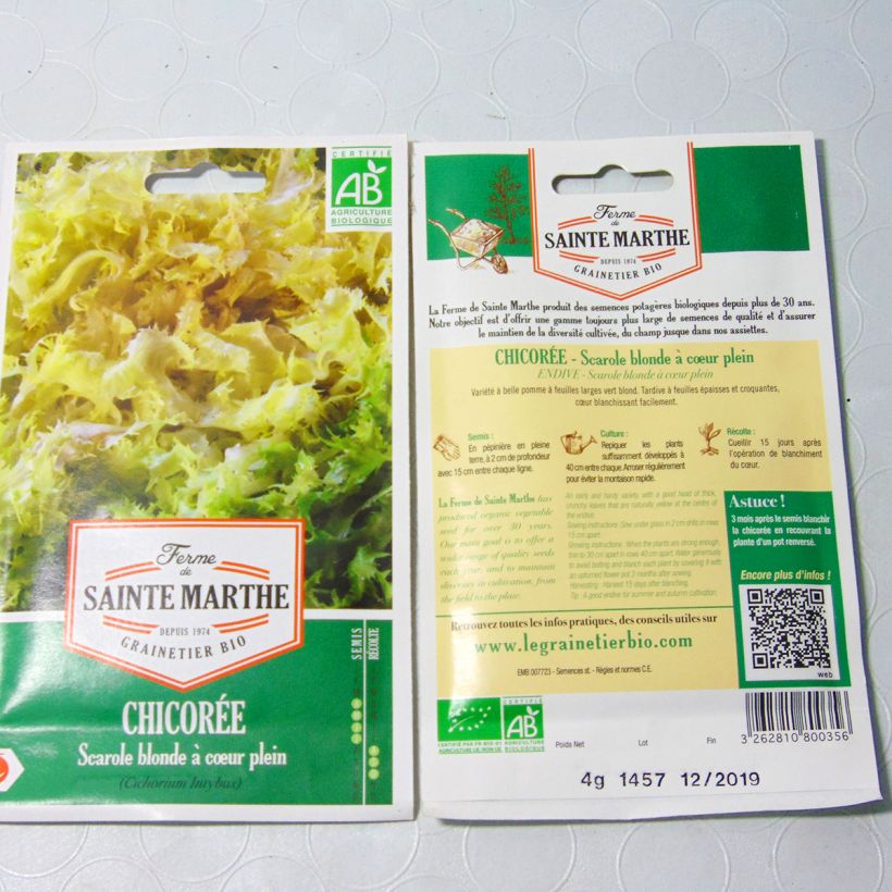 Esimerkki toimitetusta Siloendiivi Blonde à Coeur Plein luomu - Ferme de Sainte Marthe 2500 siemenen pussi (4g)-taimesta