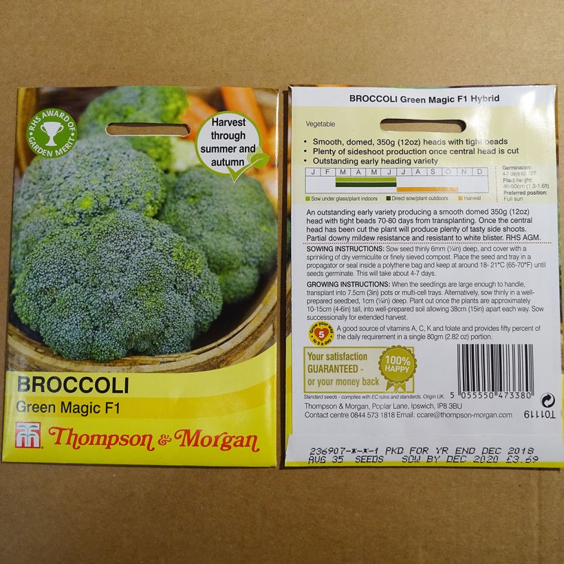 Esimerkki toimitetusta Parsakaali Green Magic F1 35 siemenen pussi-taimesta