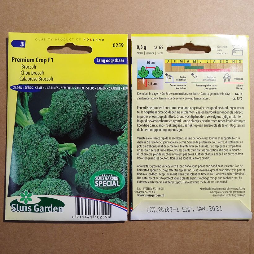 Esimerkki toimitetusta Parsakaali Premium Crop F1 65 siemenen pussi-taimesta