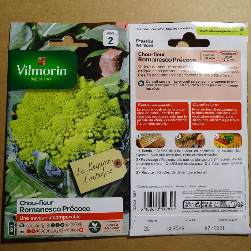 Esimerkki toimitetusta Kukkakaali Romanesco - Vilmorin 800 siemenen pussi (2g)-taimesta