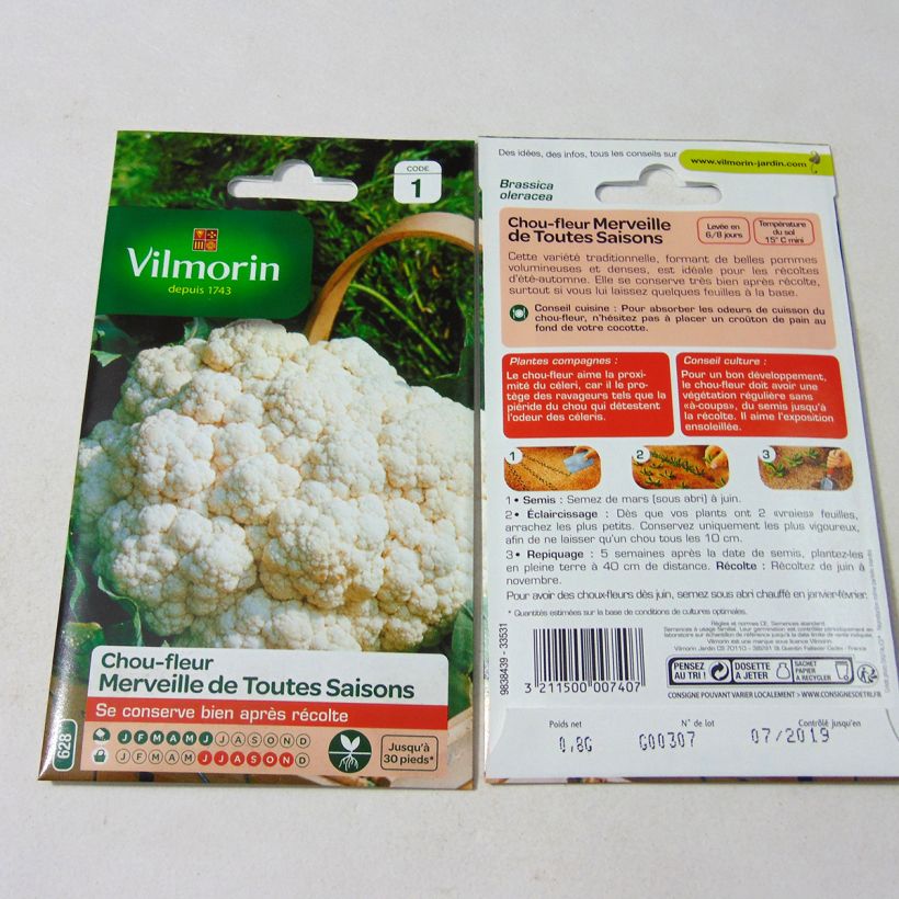 Esimerkki toimitetusta Kukkakaali Merveille de Toutes Saisons - Vilmorin 320 siemenen pussi (0.8g)-taimesta