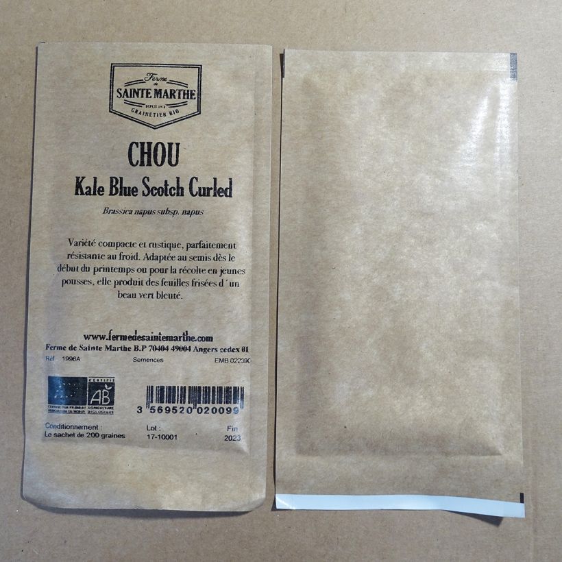 Esimerkki toimitetusta Lehtikaali Blue Scotch Curled 250 siemenen pussi (1g)-taimesta