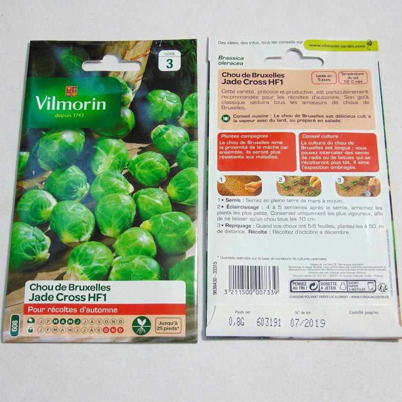 Esimerkki toimitetusta Ruusukaali Jade Cross F1 - Vilmorin 325 siemenen pussi (0.8g)-taimesta