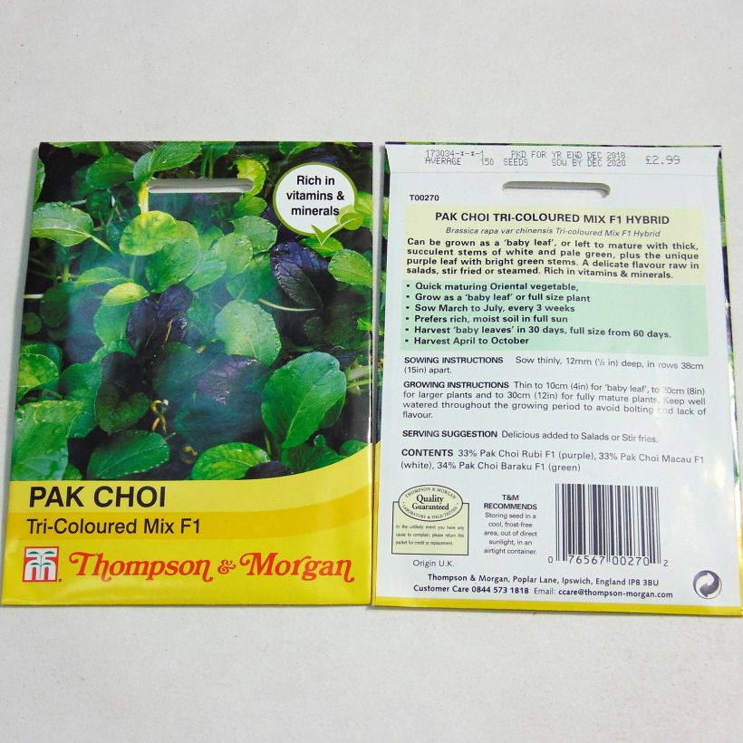 Esimerkki toimitetusta Pinaattikiinankaali pekinensis Pak Choï Tricoloured Mix F1 150 siemenen pussi-taimesta