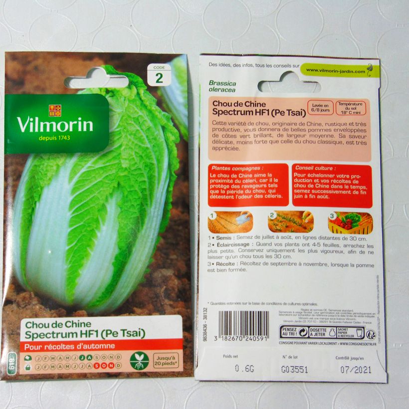 Esimerkki toimitetusta Kiinankaali pekinensis Spectrum F1 - Vilmorin Siemenet-taimesta