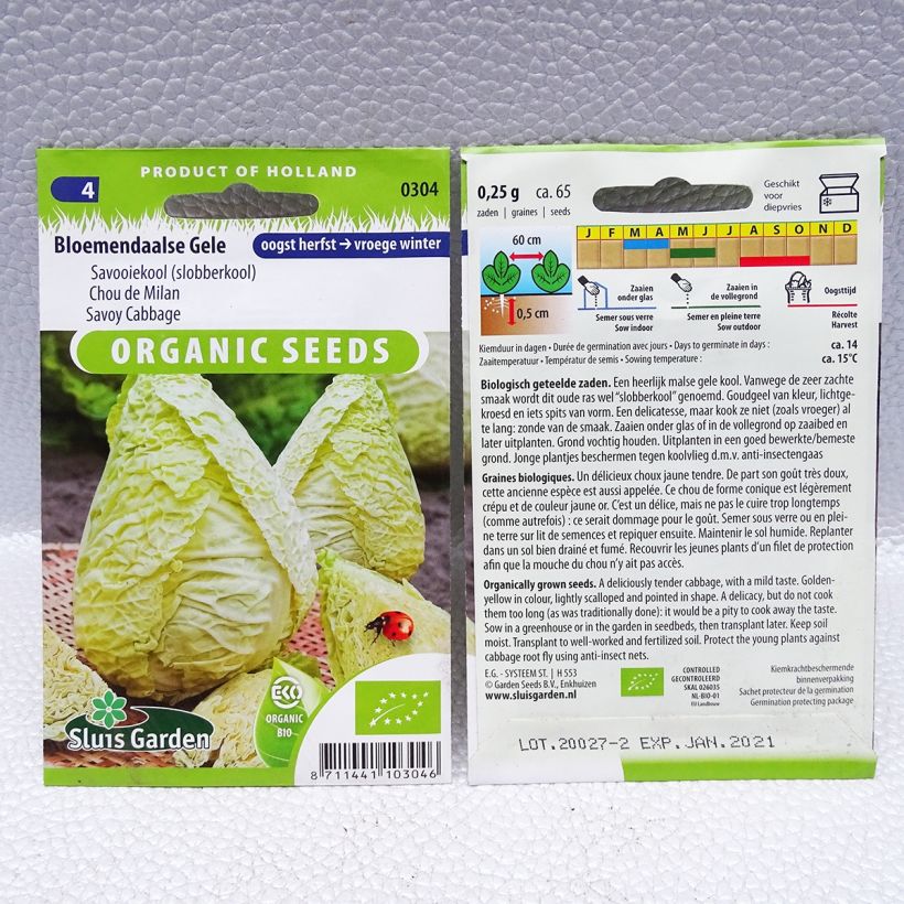 Esimerkki toimitetusta Savoijinkaali Bloemendaalse Gele luomu 65 siemenen pussi (0,25g)-taimesta