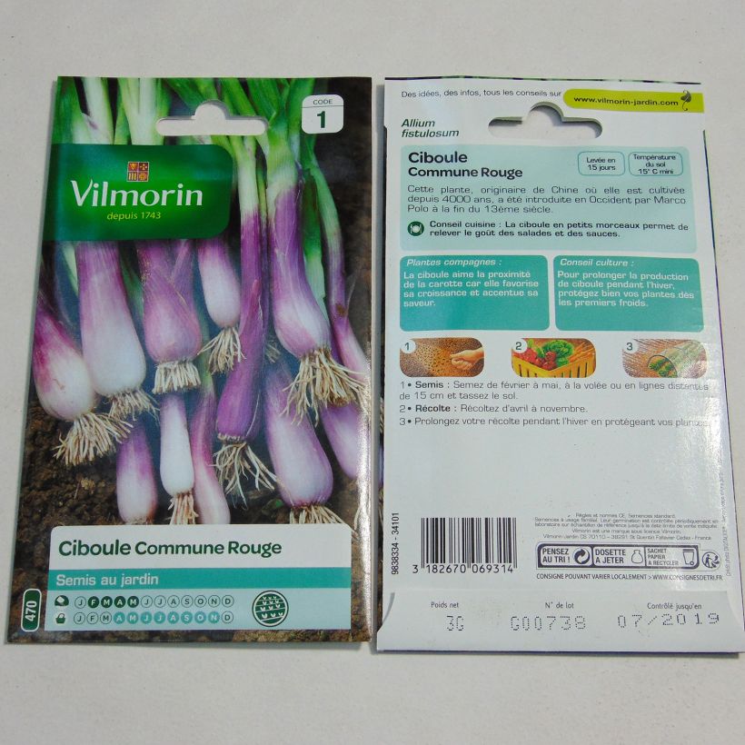 Esimerkki toimitetusta Pillisipuli Vilmorin - Allium fistulosum 1400 siemenen pussi (3g)-taimesta