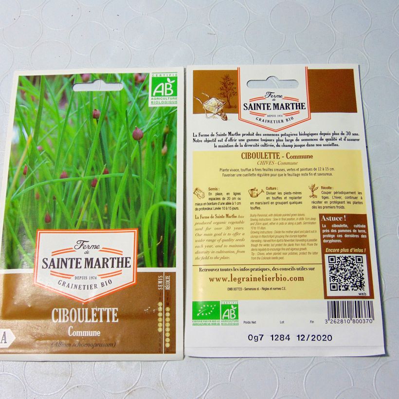 Esimerkki toimitetusta Ruoholaukka luomu - Ferme de Sainte Marthe - Allium schoenoprasum 600 siemenen pussi-taimesta