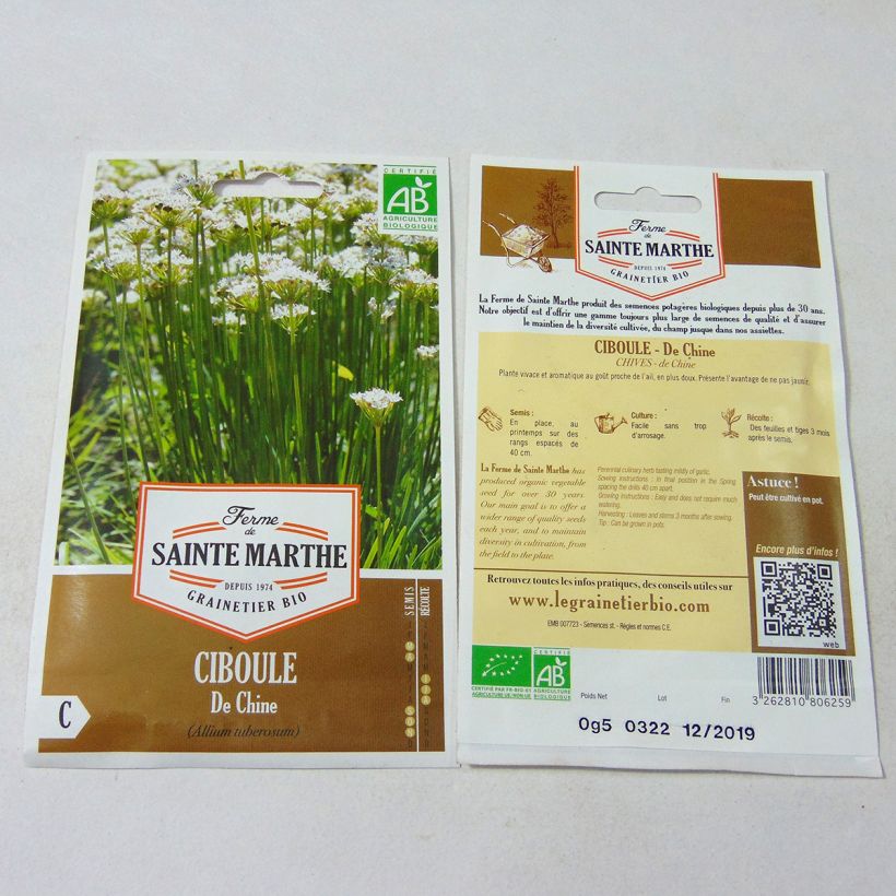 Esimerkki toimitetusta Kiinansipuli - Ferme de Sainte Marthe - Allium tuberosum odorum chinensis 100 siemenen pussi-taimesta