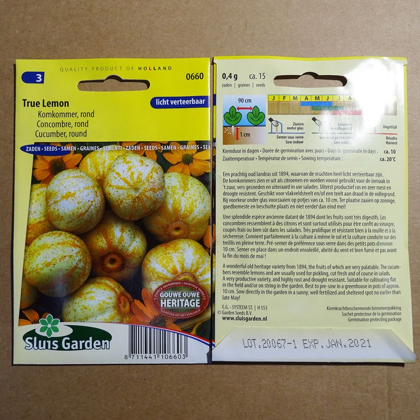 Esimerkki toimitetusta Sitruunakurkku True Lemon 15 siemenen pussi (0.4g)-taimesta