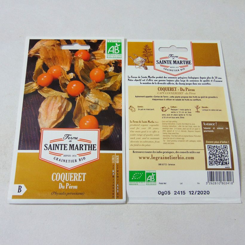 Esimerkki toimitetusta Karviaiskoiso luomu - Ferme de Sainte Marthe - Physalis edulis 50 siemenen pussi-taimesta
