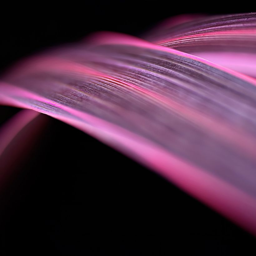 Liljapuut Electric Pink (Lehvistö)
