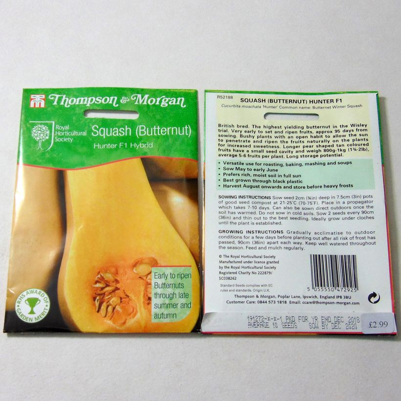Esimerkki toimitetusta Myskikurpitsa Butternut Hunter F1 12 siemenen pussi-taimesta