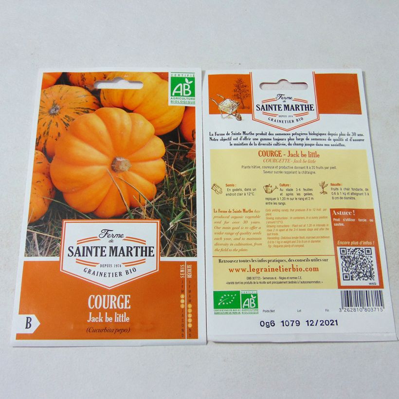 Esimerkki toimitetusta Minikurpitsa Jack Be Little luomu - Ferme de Sainte Marthe 8 siemenen pussi (0.6g)-taimesta