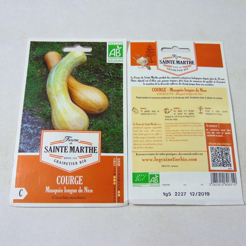 Esimerkki toimitetusta Myskikurpitsa Longue de Nice luomu - Ferme de Sainte Marthe 15 siemenen pussi (1,5g)-taimesta