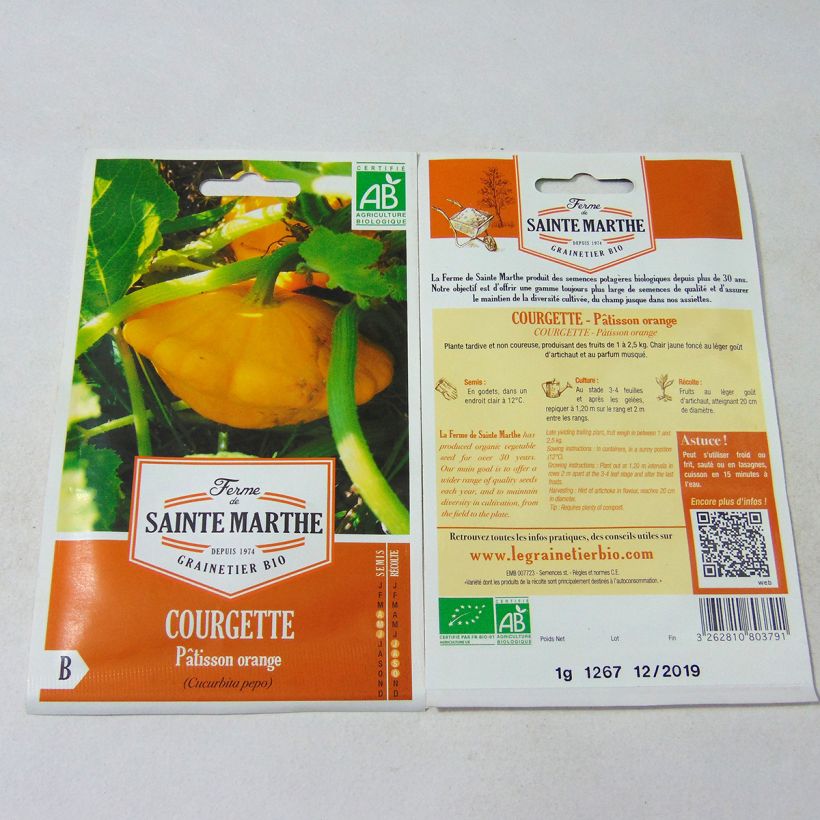 Esimerkki toimitetusta Kiekkokurpitsa oranssi luomu - Ferme de Sainte Marthe 10 siemenen pussi (1g)-taimesta