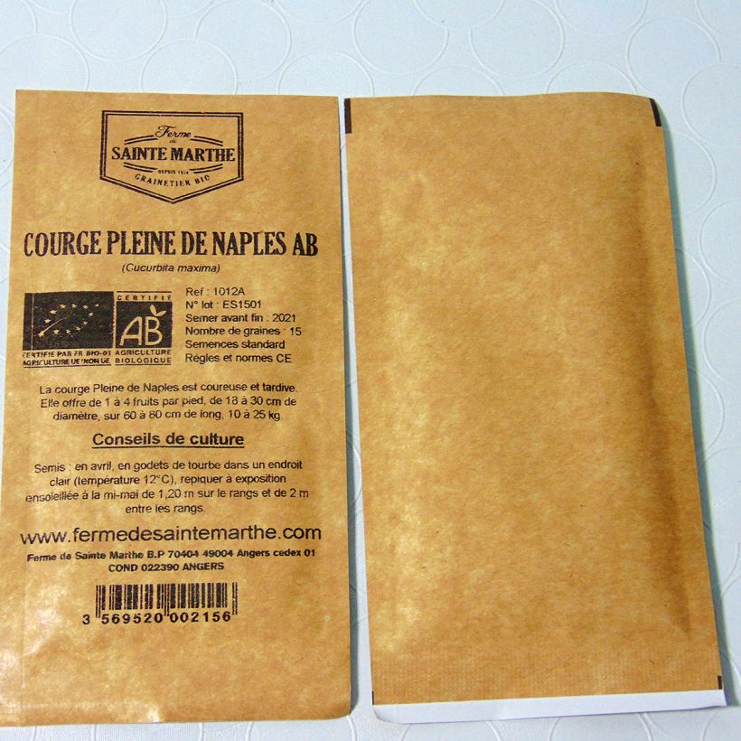 Esimerkki toimitetusta Myskikurpitsa Lunga di Napoli luomu - Ferme de Sainte Marthe 15 siemenen pussi (2g)-taimesta