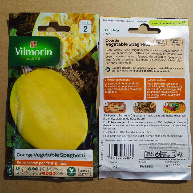 Esimerkki toimitetusta Spagettikurpitsa végétable Spaghetti - Vilmorin 15 siemenen pussi (3g)-taimesta