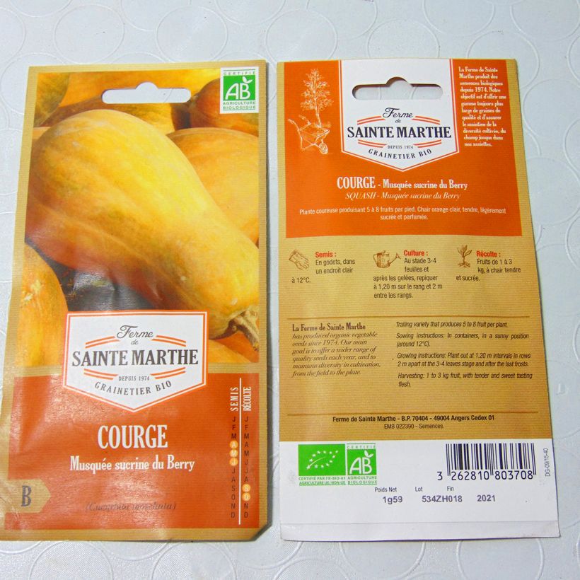 Esimerkki toimitetusta Myskikurpitsa Sucrine du Berry luomu - Ferme de Sainte Marthe 8 siemenen pussi (1.2g)-taimesta