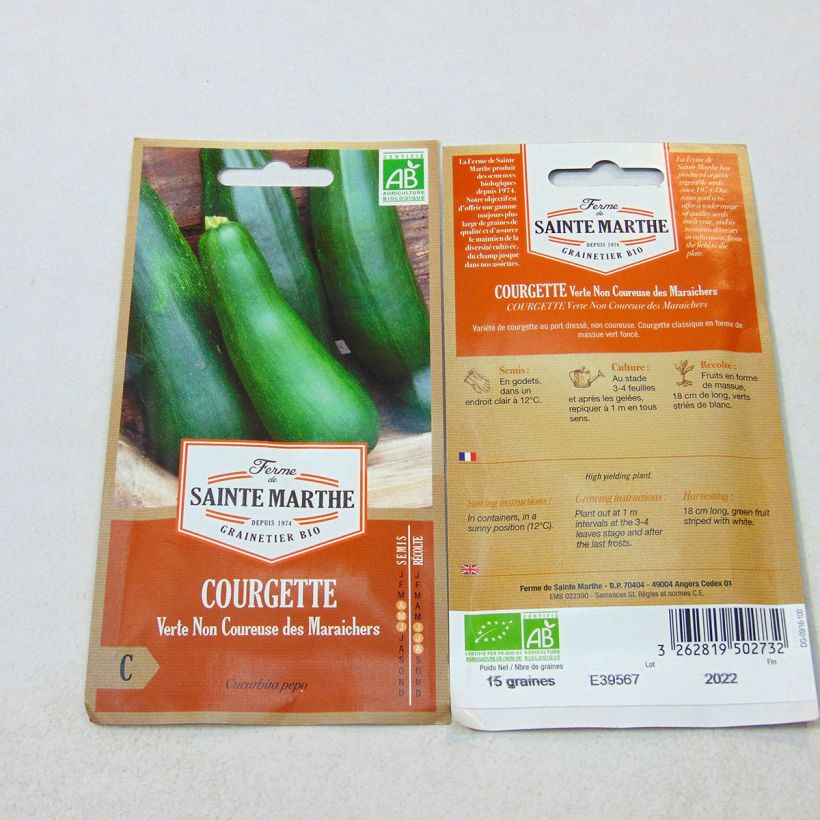 Esimerkki toimitetusta Kesäkurpitsa Coucourzelle luomu - Ferme de Sainte Marthe - Cucurbita pepo 15 siemenen pussi (1g)-taimesta