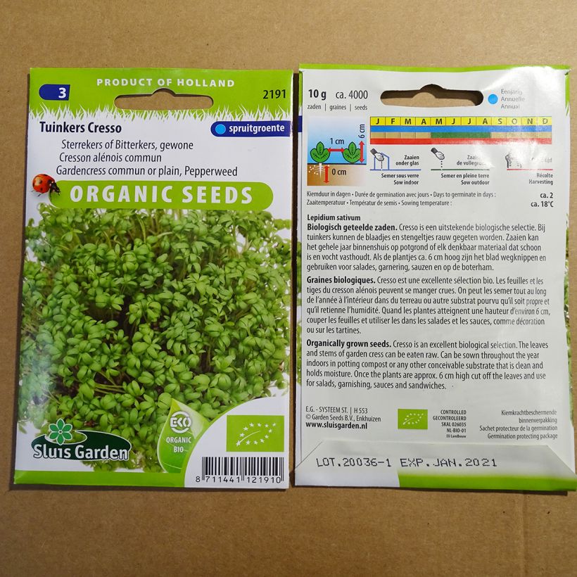 Esimerkki toimitetusta Vihanneskrassi luomu - Lepidium sativum 3650 siemenen pussi (10g)-taimesta