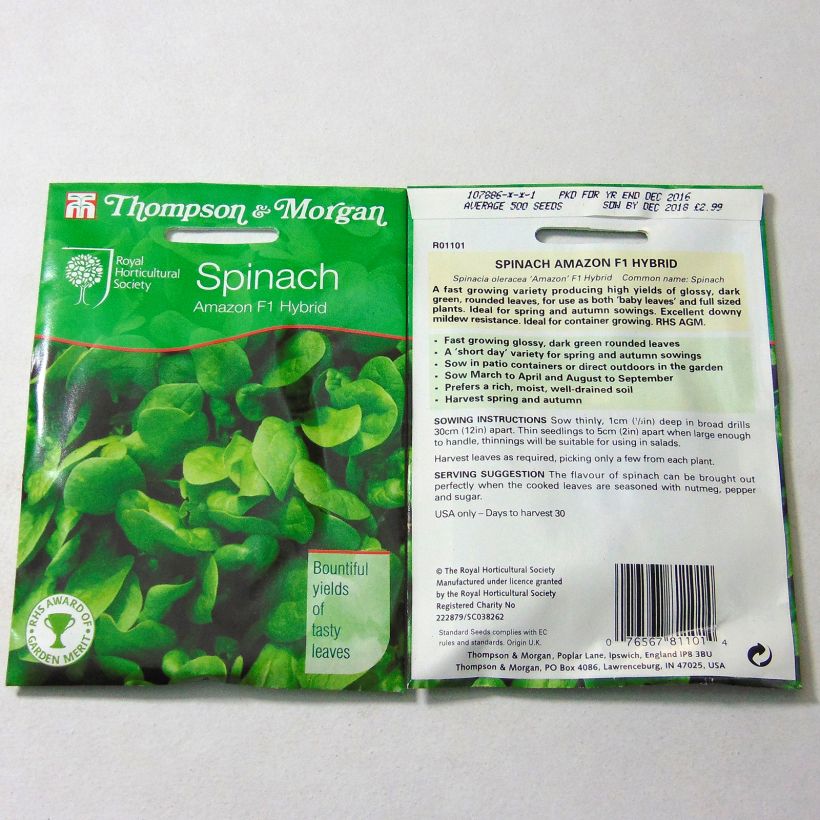 Esimerkki toimitetusta Pinaatti Amazon F1 - Spinachia oleracea 500 siemenen pussi-taimesta
