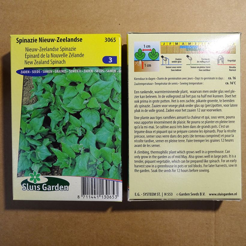 Esimerkki toimitetusta Lamopinaatti - Tetragonia tetragonioides 2500 siemenen pussi (25g)-taimesta