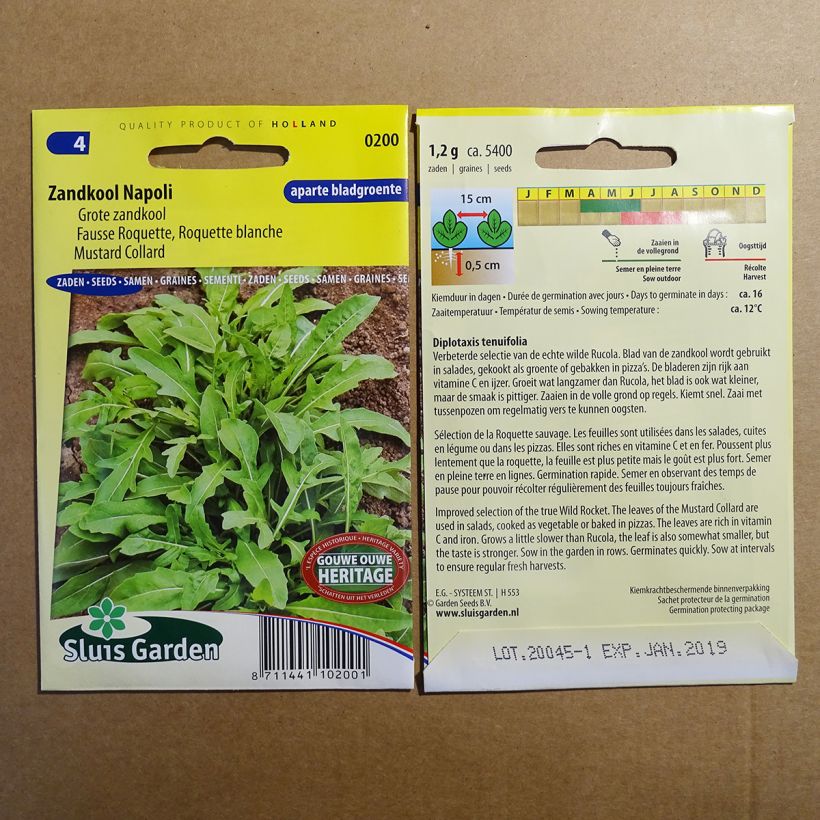 Esimerkki toimitetusta Isohietasinappi Napoli - Diplotaxis tenuifolia 5400 siemenen pussi (1g)-taimesta